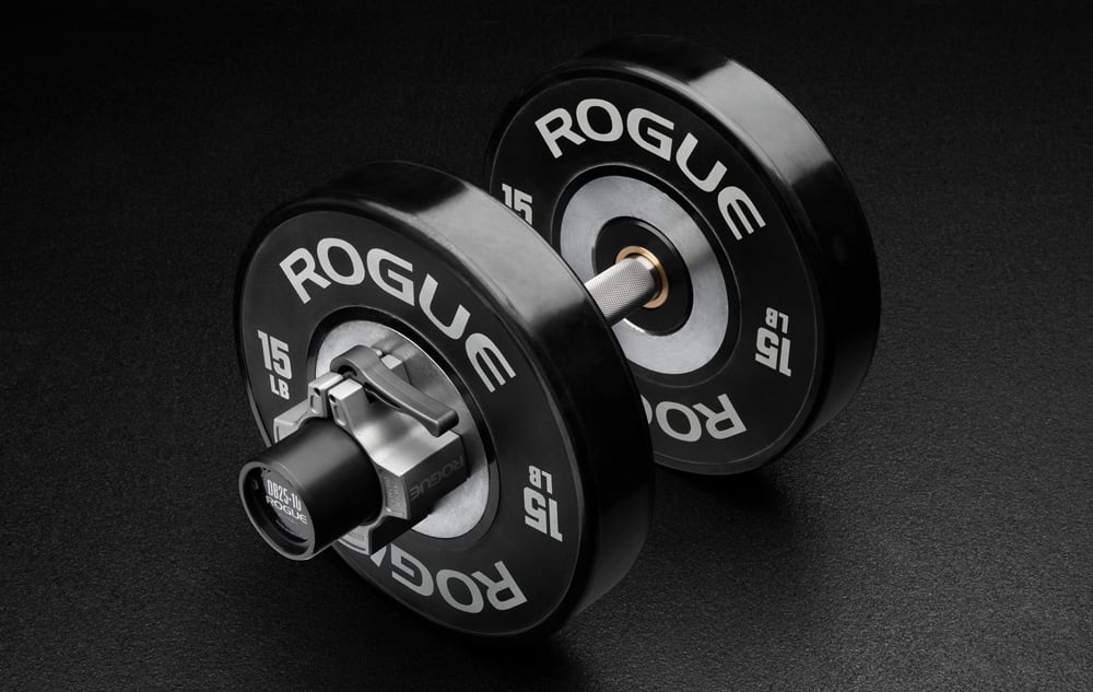 Rogue 25 lb dumbbells outlet